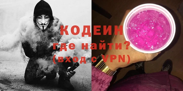 шишки Лагань